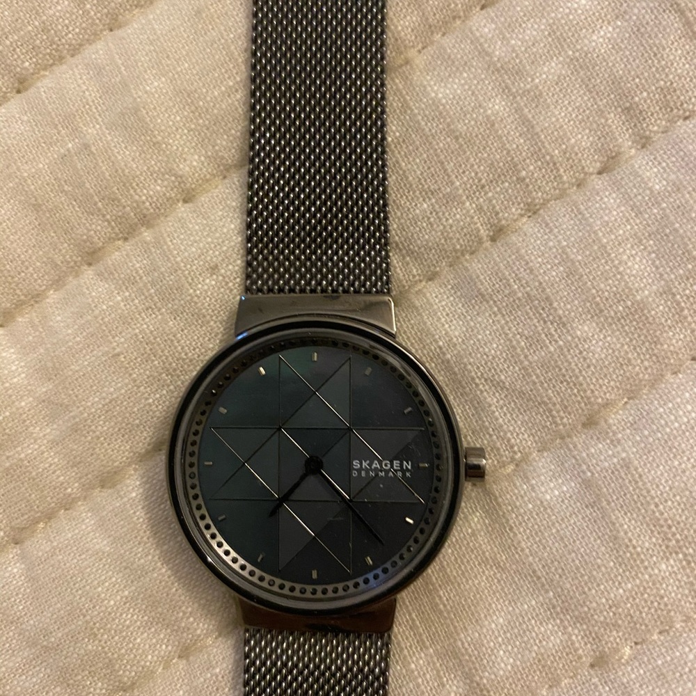 Skagen Watch Women! Stainless Steel Mesh Band